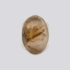 Large Rutilated Quartz Ring - Size 8 - RING 113