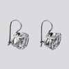 Sterling Silver Faceted Oval Stone Earrings - EARRINGS 49